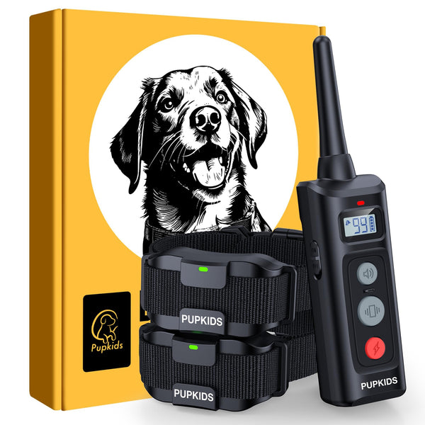 PUPKIDS Dog Shock Collar with Remote 2 Pack - 4000ft 108 Levels Dog Training Collar, E-Collar with 3 Training Modes for Large Medium Small Dogs Rechargeable Waterproof Electric Collars(10-120lbs)