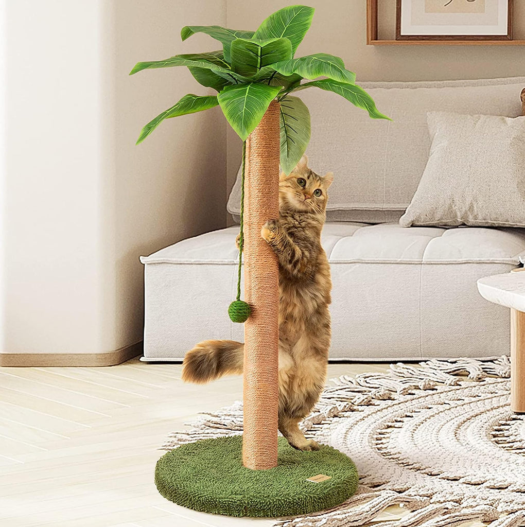 Meowoou Cat Scratching Post with Hanging Ball,33 inch Tall Cute Cat Toys for Indoor Cats with Sisal Rope,Palm Decor Cat Tree Tower for Kitten Scratcher Green