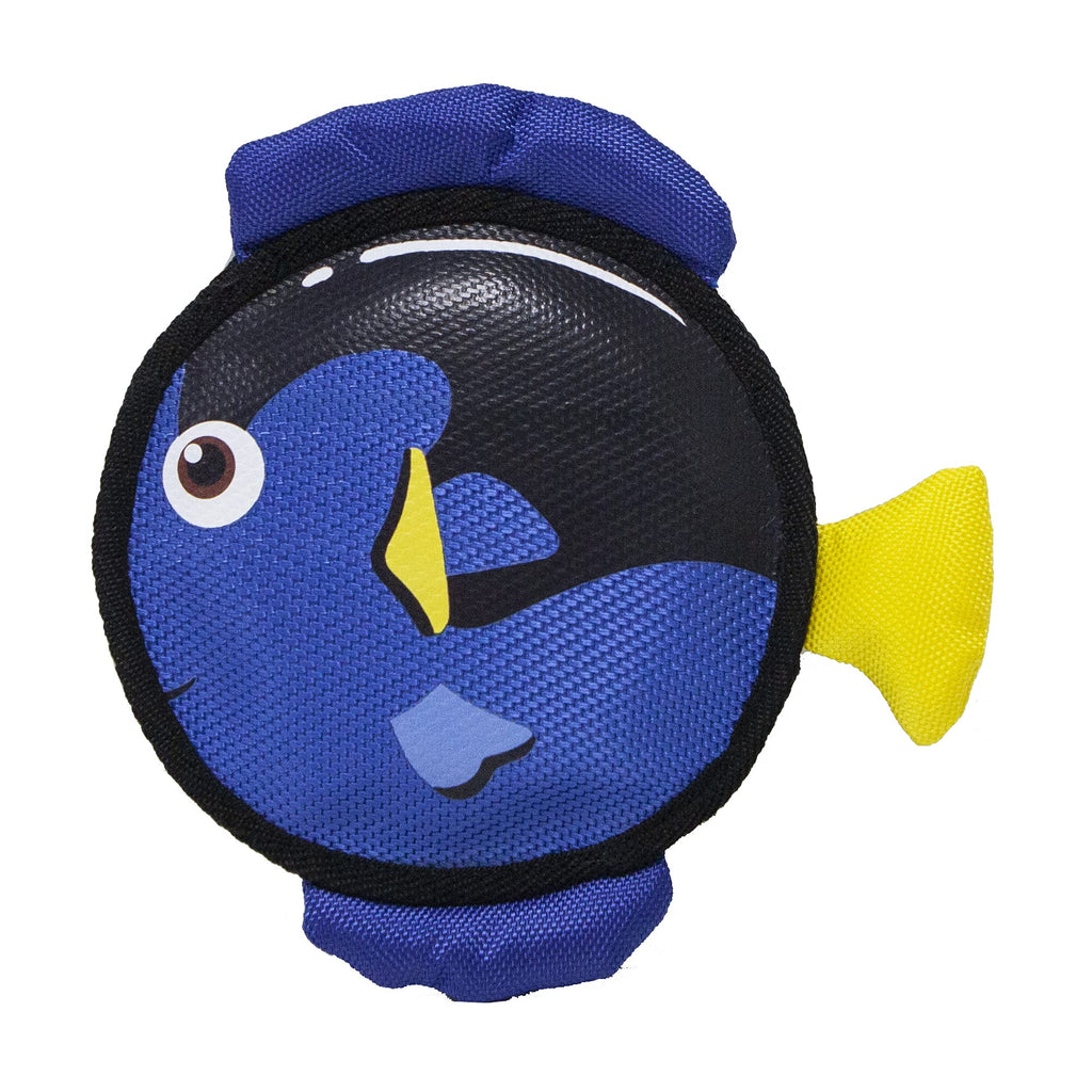 Petique Tangy The Blue Tang