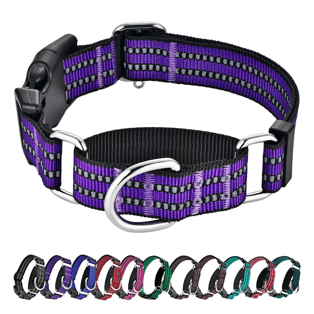 Hikiko Martingale Collar for Dogs Reflective Nylon Dog Collar with Quick Release Buckle Adjustable Training No Slip Dog Collars (Medium, Purple)