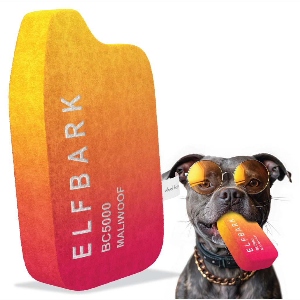 Funny Dog Toys With Squeaker - Cute Parody Puppy Toys for Small, Medium and Large Dogs - Dog Birthday Gifts