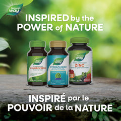 Nature’s Way Hydraplenish, with Unique BioCell Collagen, Hyaluronic Acid, Supports Healthy Skin*, Promotes Skin Collagen Production*, Promotes Skin Elasticity,* 60 Capsules (Packaging May Vary)