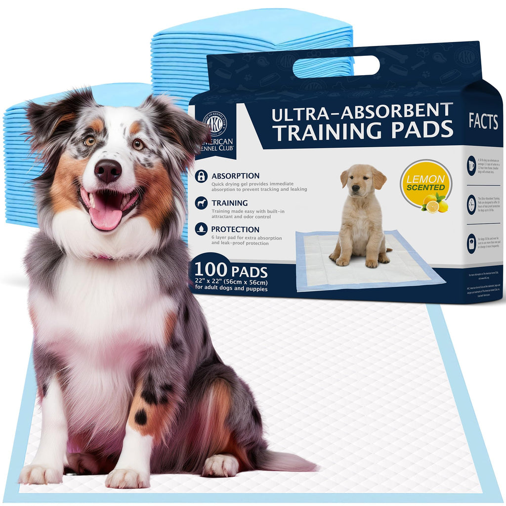 American Kennel Club Scented Puppy Training Pads with Ultra Absorbent Quick Dry Gel – 22 x 22 Pee Pads For Dogs - Lemon Scented - 100 Count