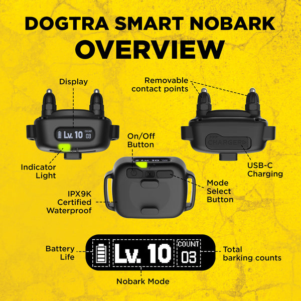 Dogtra Smart NOBARK – Detects Whining and Barking – App Control E-Collar, Usage Notification, Behavior Report, Waterproof IPX9K, 30 Yard Range, Compact Size for 10lbs Dogs, Triple Detection Accuracy
