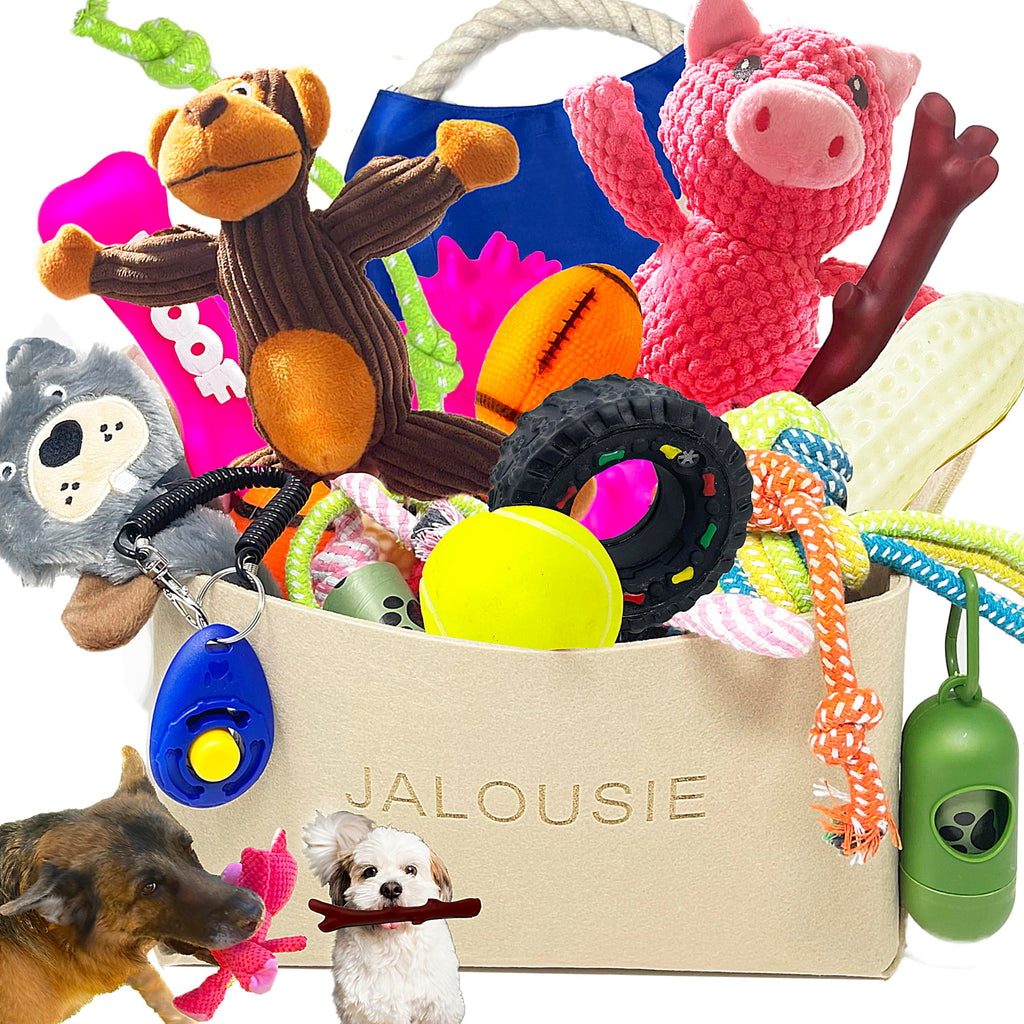 Jalousie 24 Pieces Dog Gift Basket for Medium Dog Breeds, Small Breeds, Squeaky Toys, Plush Toy, Rubber Toys, Ropes, Training Supply, Poop Bag Dispenser and a Dog Toy Storage (24 Pack Dog Toy Basket)