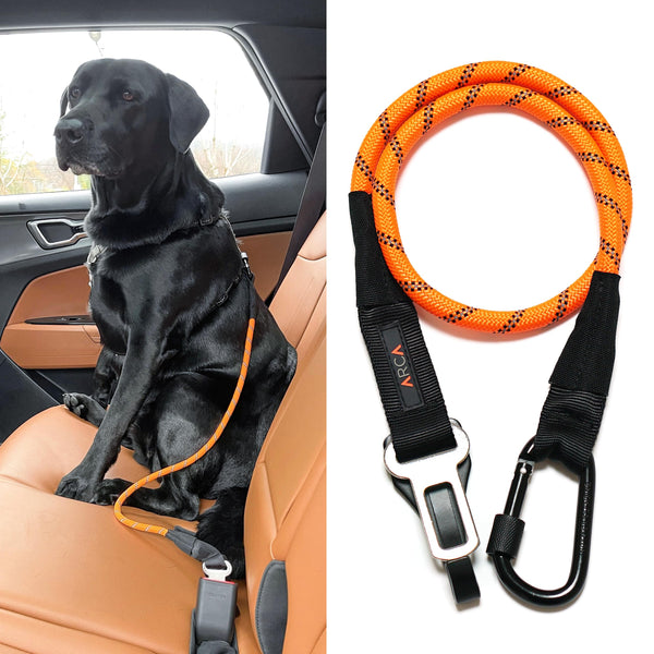 ARCA PET Dog Seat Belt for Car | Universal Dog Car Seatbelt | Durable Reflective Rope with Clip Hook Latch, Buckle and Carabiner- Safe and Secure Pet Safety Restraint (Orange)