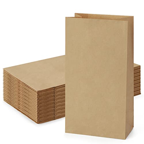 SHOPDAY Paper Lunch Bags 4lb 100 Pack Brown Paper Bags 5x2.95x9.45" Recyclable Kraft Sack Lunch Bags Snacks Bags Grocery Bags for Food Storage & Packing